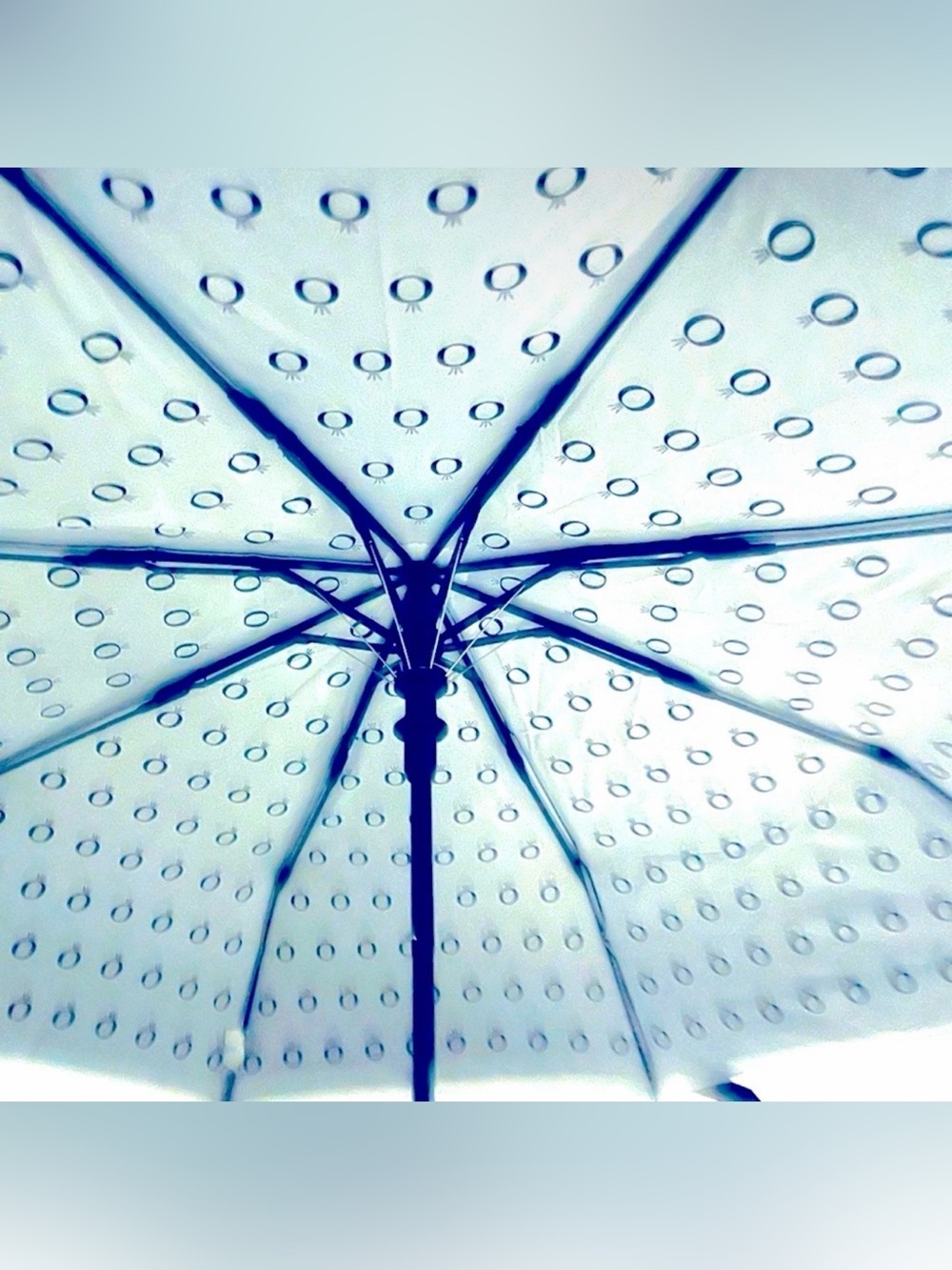 Pandora New Umbrella